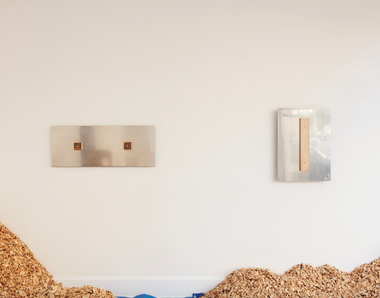 MIRROR 1 OF 1 - Sean Brickhill