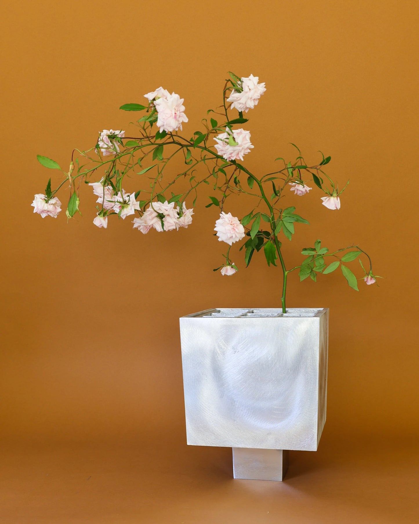 IXIA Vase - Large